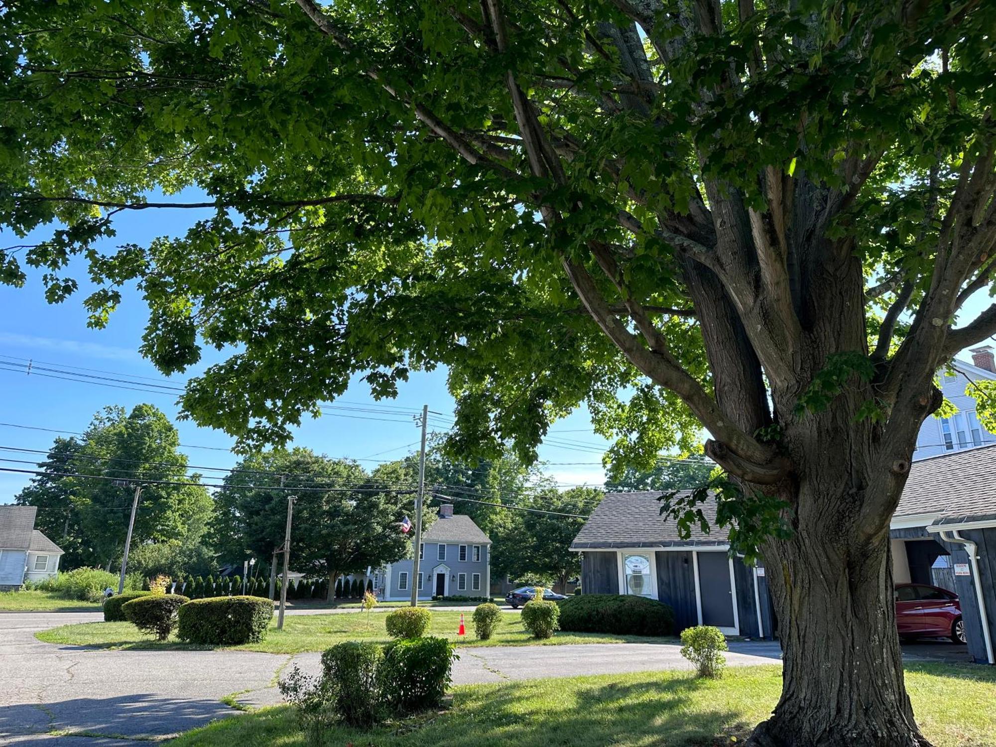 Village Motel Clinton Exterior photo